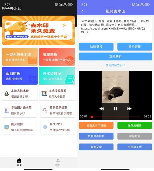 安卓橙子去水印解析多功能 v3.1.15